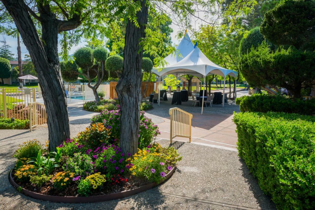 Los Gatos Lodge Zewnętrze zdjęcie